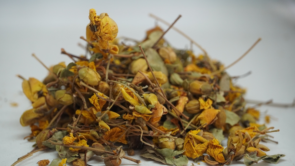 AAVARAMPOO -ஆவாரம் பூ (आवला) / AVARAM SENNA FLOWER / CASSIA AURICULATA