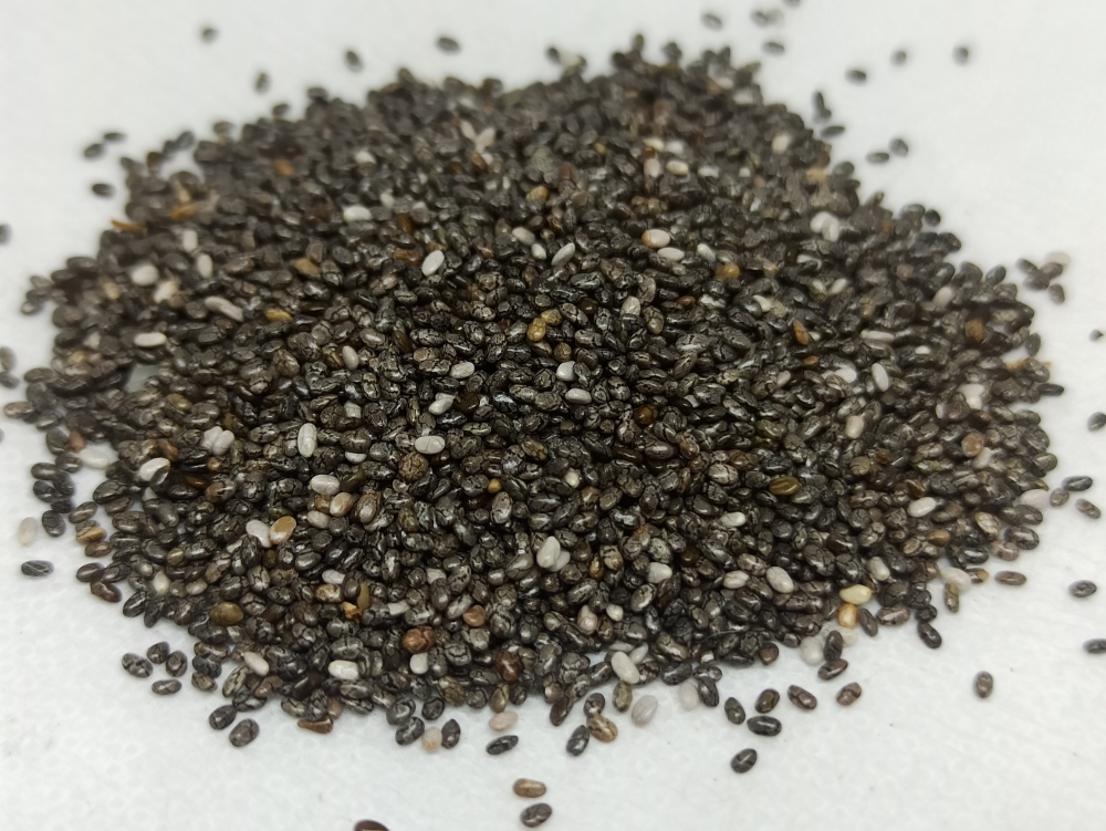 CHIA VITHAI - சியா விதை (चिया बीज) / CHIA SEEDS / SALVIA HISPANICA