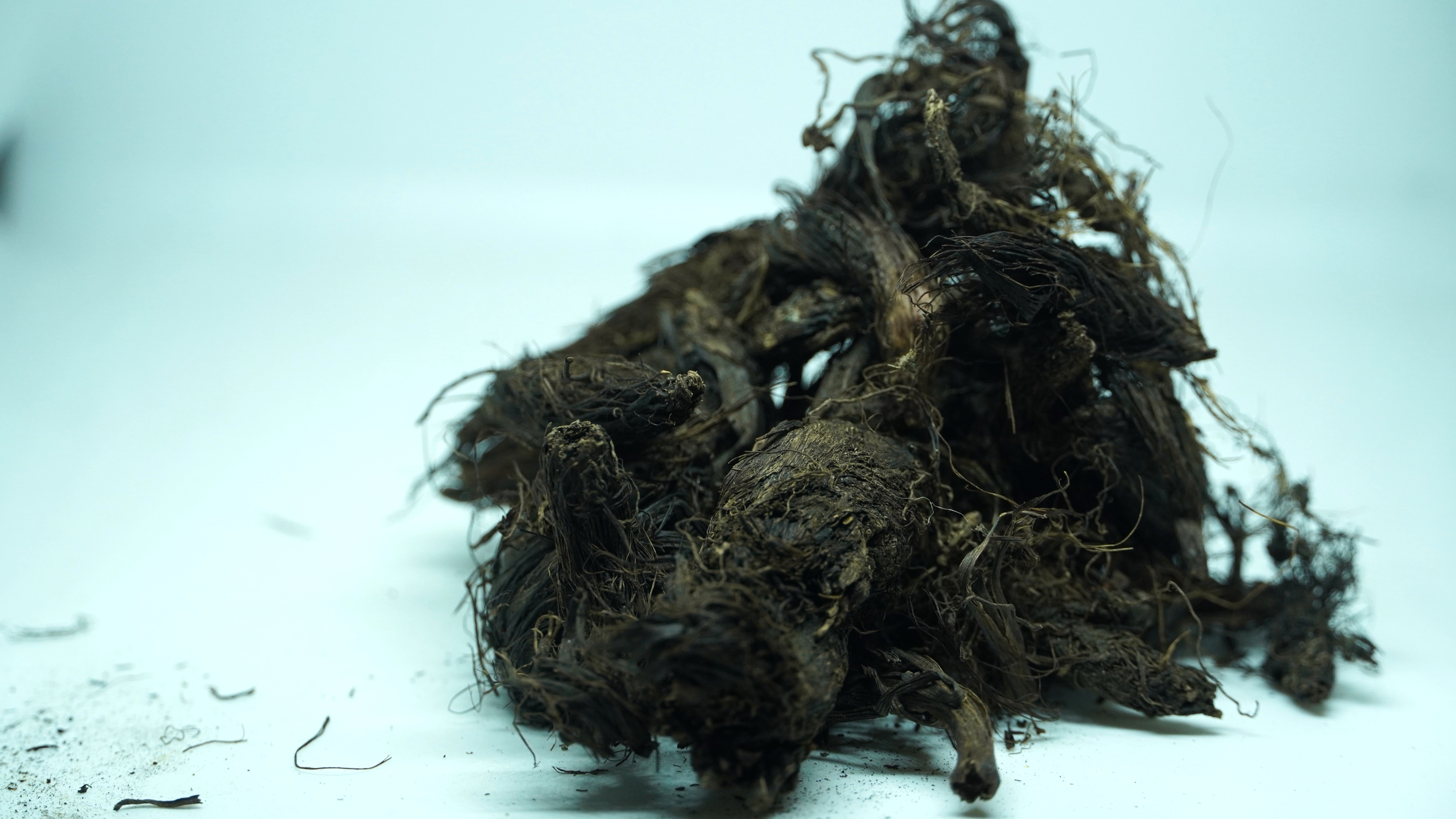 THOGAI’S-”JADAMANJI”-JATAMANSI/TAPASWANI AND BHYTAJATA/INDIAN SPIKENARD, MUSK-ROOT, AND INDIAN NARD/NARD INDIAN/BALCHARA/JATAMAVSHI/JATAMAMSI/BHUTIJATA/BILLILOTAN