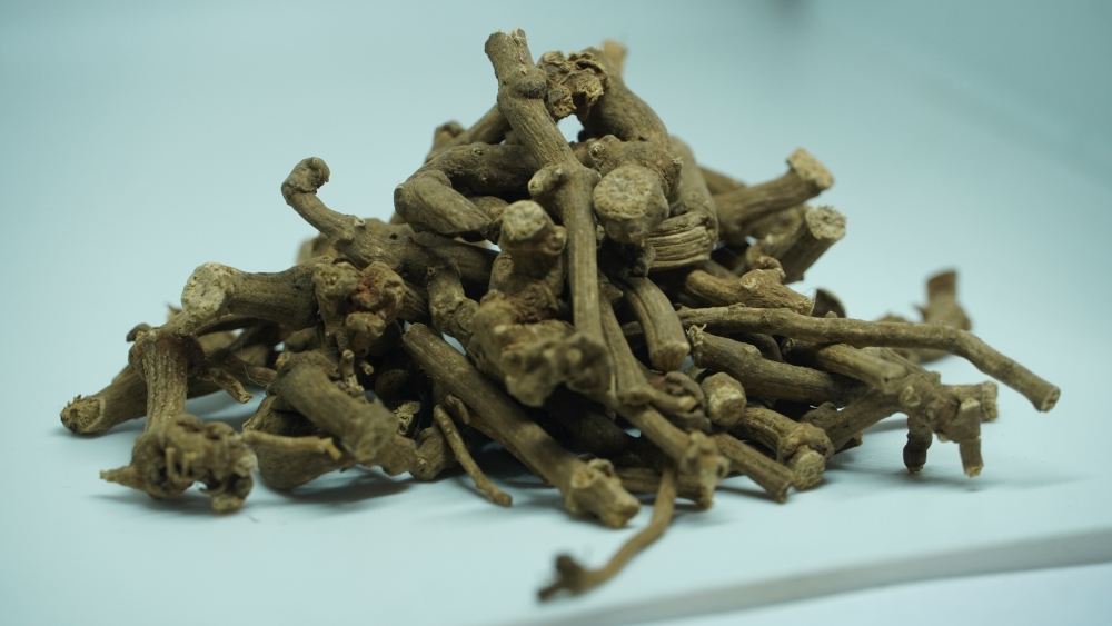 KANDAN THIPILLI - INDIAN LONG PEPPER / கந்தன் திப்பிலி (पीपल मूल) / PIPER LONGUM