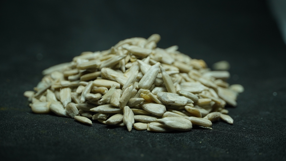 SUNFLOWER SEEDS - HELIANTHUS ANNUUS / சூரியகாந்தி விதை (सूरजमुखी के बीज)