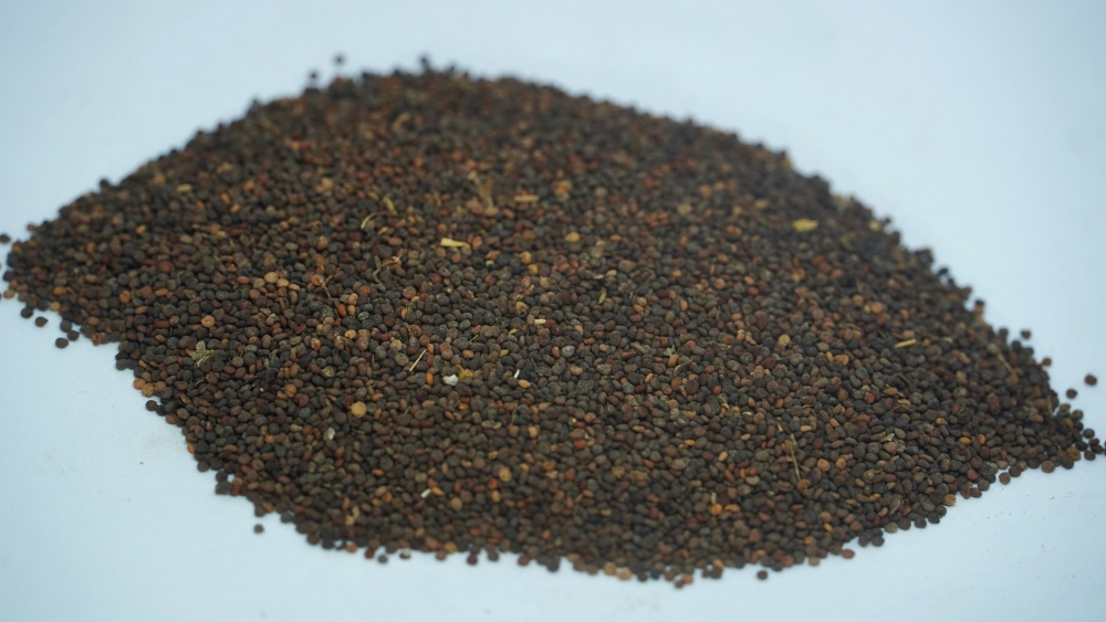 THOGAI’S - * THULASI VITHAI*- துளசி விதை / SACRED BASIL SEEDS / तुलसी / TULSI / തുളസി / TULASI