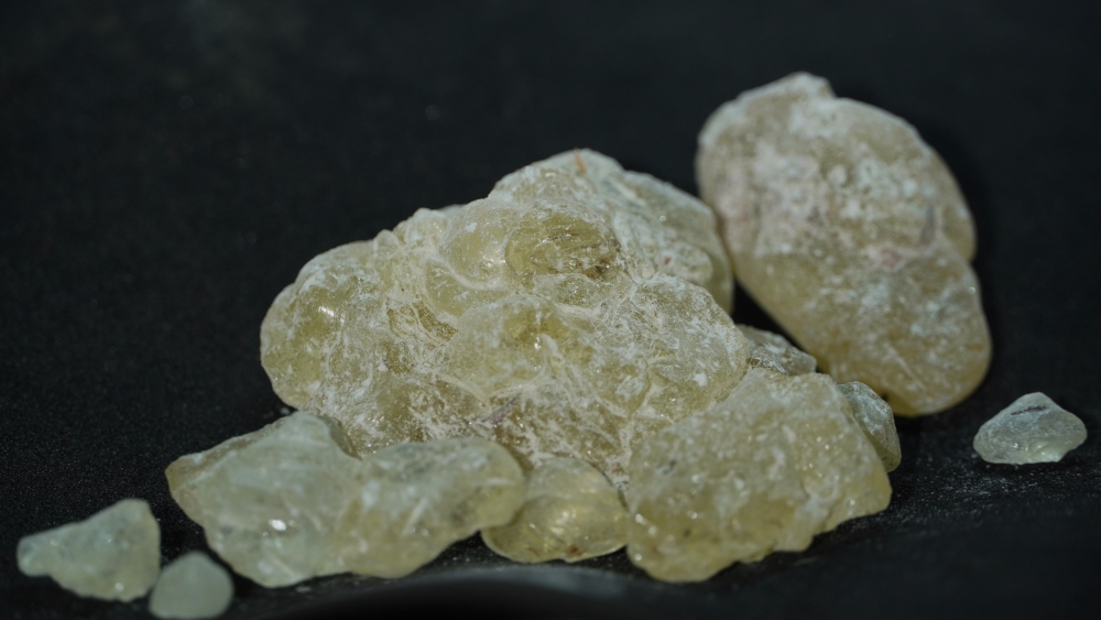 THOGAI’S-”WHITE KUNGLIYAM” VATERIA INDICA LINN/WHITE DAMMAR/வெள்ளை குங்கிலியம்/VELLAI KUNGILIYAM/SAFED DAMMAR/VELLA/TELLA DAMARAMU/TELLA DAMARAMU/BILI DHOOPA/BILI DHOOPA