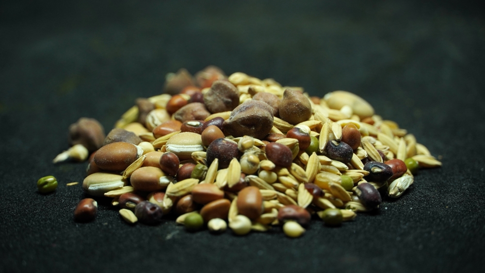 NAVATHANIYAM NAVATHANIYAM